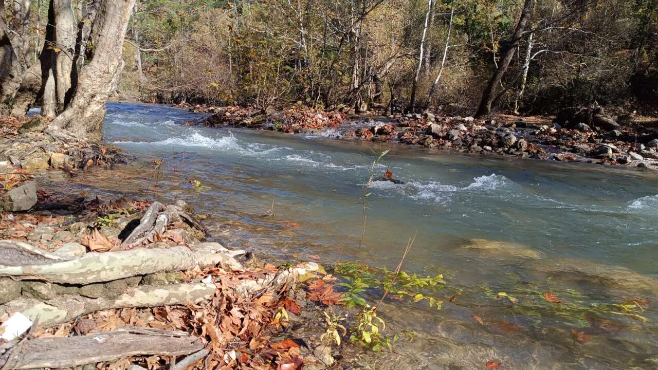 Çöle dönen doğa harikası yeniden coştu 11